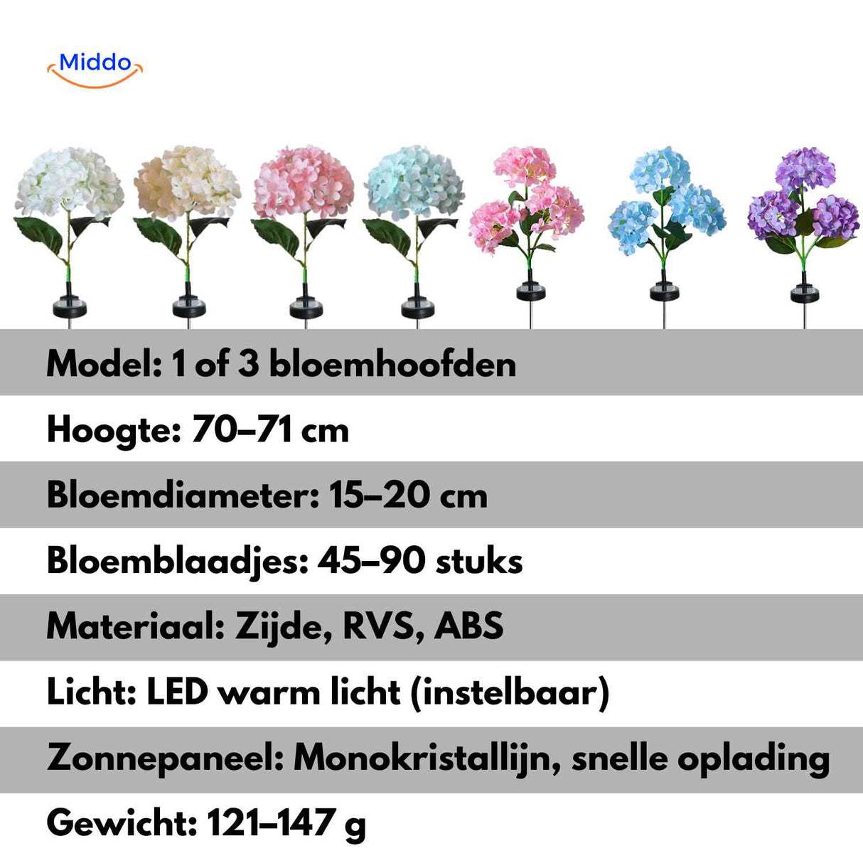 Florora Lantaarn hortensia bloemen in alle kleuren www.middo.nl