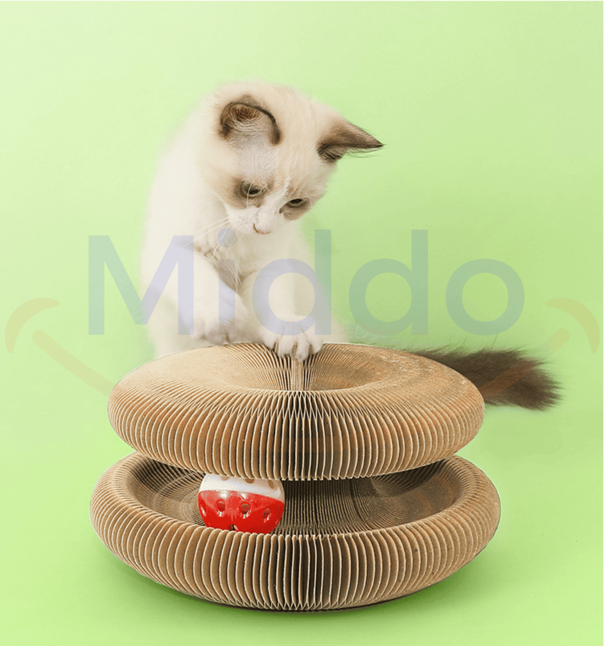 Kat speelt nieuwsgierig op de Kattenscratcher in een groene omgeving