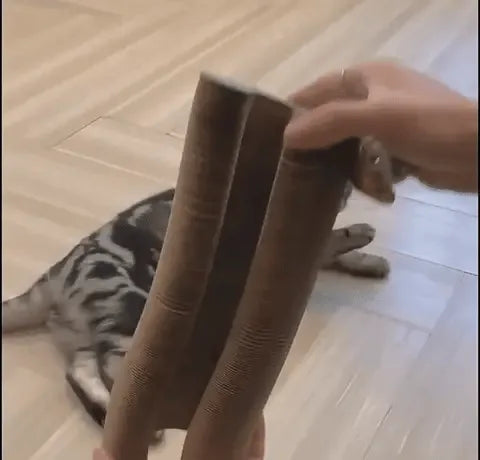 Hand die de kartonnen krabbaan uit elkaar trekt tot een rechte baan, met een gestreepte kat die toekijkt
