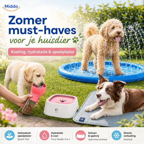 Huisdier producten voor mooi weer: zo geniet je zorgeloos van zonnige dagen met je hond