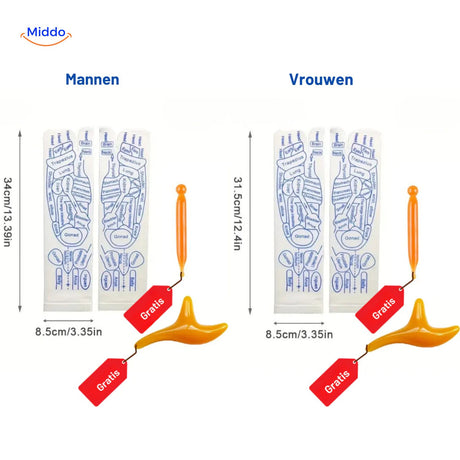 Acupoint Sokken mannen vrouwen verschil grootte www.middo.nl