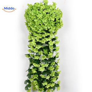 Groene charmante orchideeën aan de muur