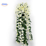 Witte charmante orchideeën aan de muur