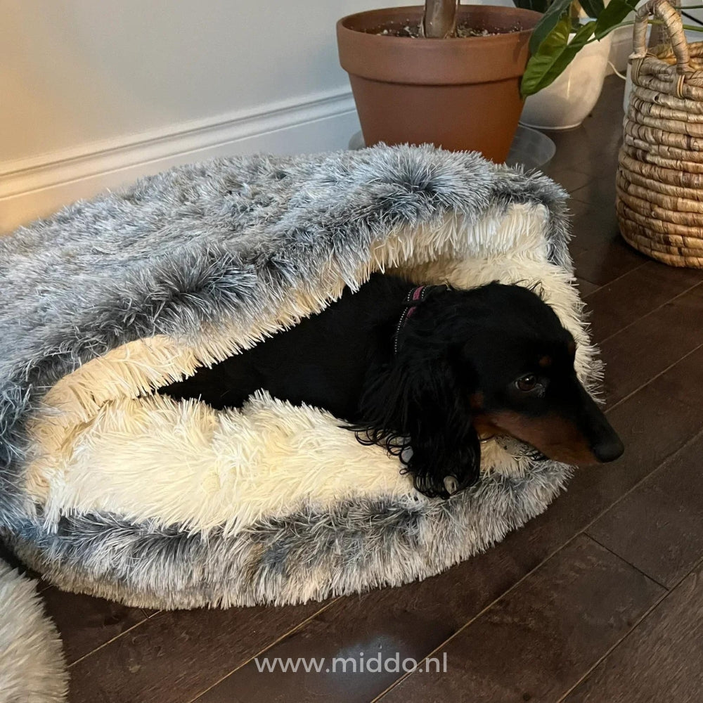 Hond in sfeervol comfortabel huisdierbed SoftSnuggle