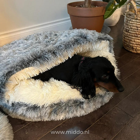 Hond in sfeervol comfortabel huisdierbed SoftSnuggle
