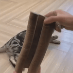 Der Katzenkratzer™ | Kratzen, spielen und entspannen 