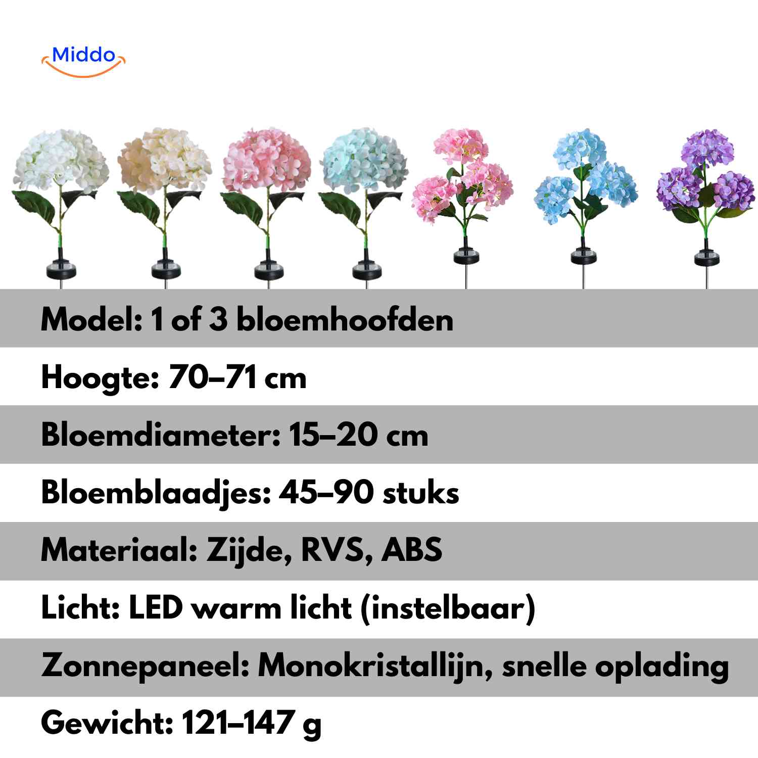 Florora Lantaarn hortensia bloemen in alle kleuren www.middo.nl
