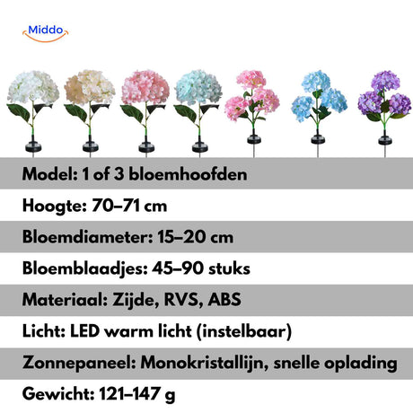 Florora Lantaarn hortensia bloemen in alle kleuren www.middo.nl