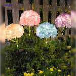 Florora Lantaarn hortensia bloemen set 3 stuks www.middo.nl