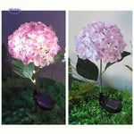 Florora Lantaarn hortensia solar lamp regenbestendig www.middo.nl