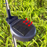 Florora Lantaarn lichtroze hortensia buitenlamp www.middo.nl