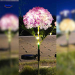 Florora Lantaarn paars hortensia led verlichting www.middo.nl