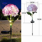 Florora Lantaarn paars hortensia met afmetingen 70cm www.middo.nl