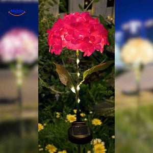 Florora Lantaarn rood hortensia buiten solarlicht www.middo.nl