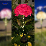 Florora Lantaarn rood hortensia buiten solarlicht www.middo.nl