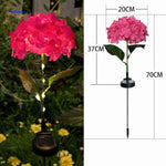 Florora Lantaarn rood hortensia met afmetingen 70cm www.middo.nl