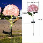 Florora Lantaarn roze hortensia met afmetingen 70cm www.middo.nl