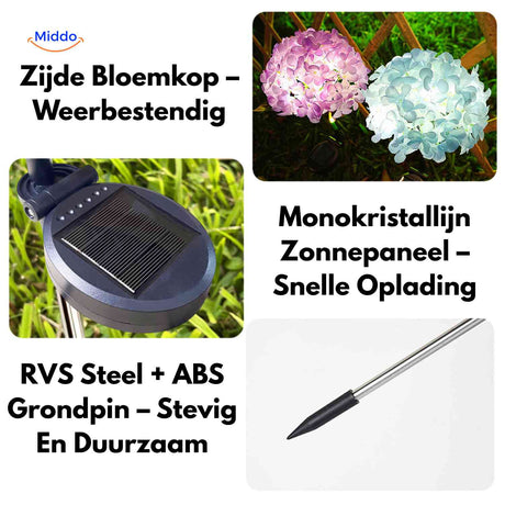 Florora Lantaarn specificaties hortensia solar lamp www.middo.nl