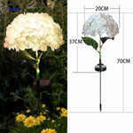 Florora Lantaarn wit hortensia met afmetingen 70cm www.middo.nl
