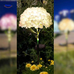 Florora Lantaarn wit hortensia solar tuinlamp www.middo.nl