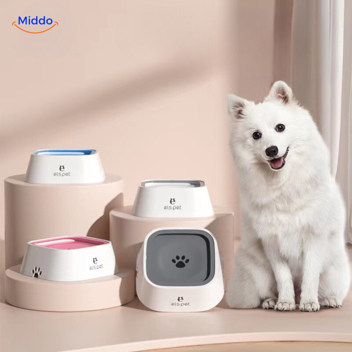 Blije hond op de foto met alle kleuren HydroPaws