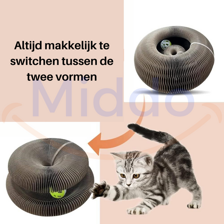 Kat speelt en wisselt tussen de verschillende standen van de Kattenscratcher