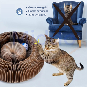Kat krabt aan de kattenscratcher met op de achtergrond een stoel met kat die krabt aan stoel