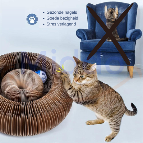 Kat krabt aan de kattenscratcher met op de achtergrond een stoel met kat die krabt aan stoel