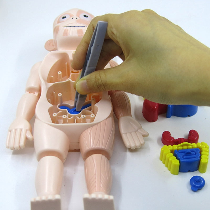 Stripfiguren Van Menselijke Organen Vrolijk Met Het Gezicht Van Menselijke Organen Menselijke Anatomie Voor Kinderen 273828 1169 Stripfiguren Van Menselijke Organen Vrolijk Met Het Gezicht Van Menselijke Organen Menselijke Anatomie Voor Kinderen 273828 1169