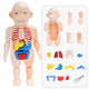 Griezelig Leuk: Kinder Anatomie Set | Educatief en Interactief Speelgoed