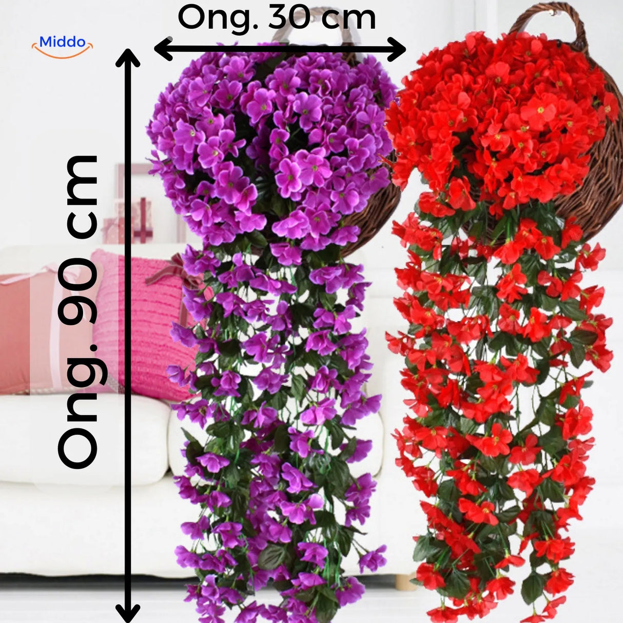 Afmetingen van Middo's Kunst Orchideeën