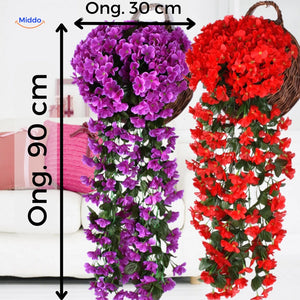 Afmetingen van Middo's Kunst Orchideeën