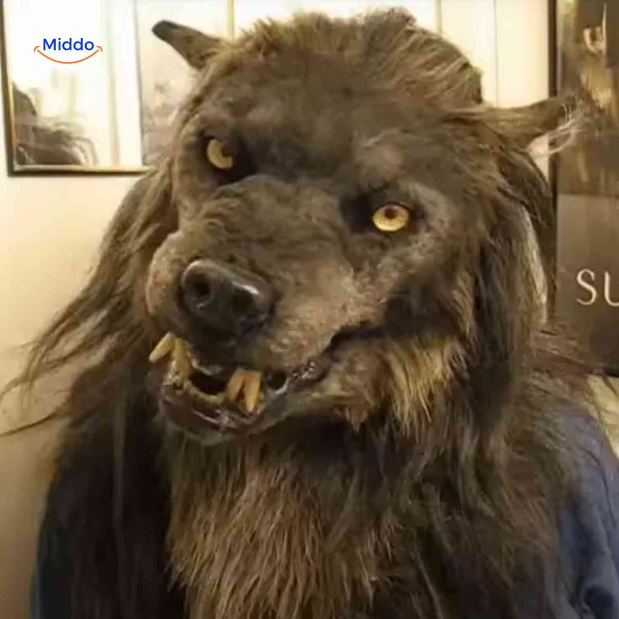 Lupinox Masker realistische wolf masker halloween verkleed www.middo.nl