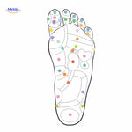 MagneFlex Inlegzolen met functies voor pijnverlichting en ondersteuning www.middo.nl