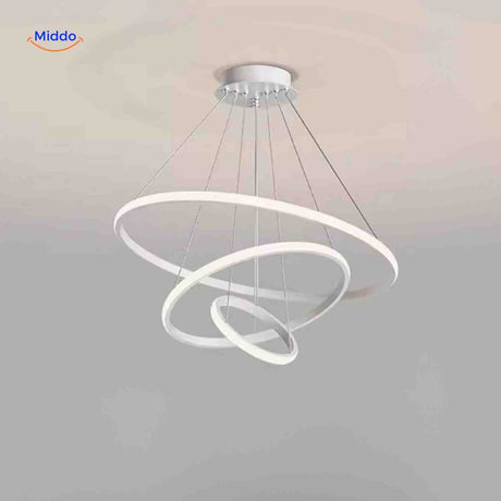 Ringkroonluchter Lamp wit led hanglamp moderne ringen www.middo.nl