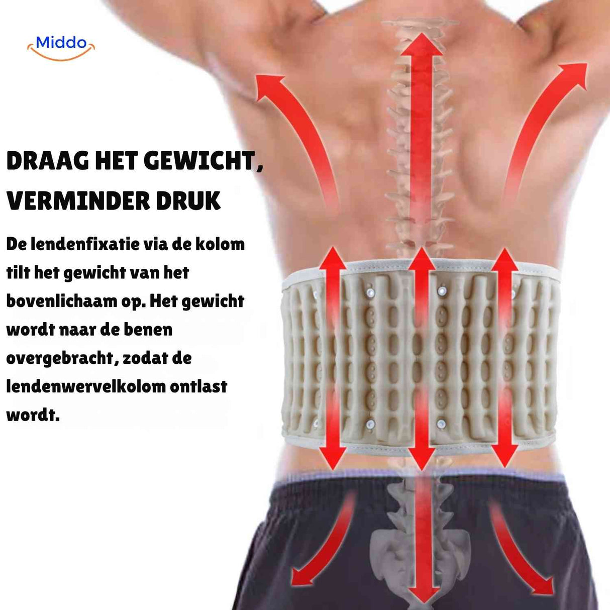 SpineRelief Riem gewichtsondersteuning en drukverlichting rugband www.middo.nl