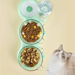 Bovenaanzicht van groene voedertray met kattenvoer.