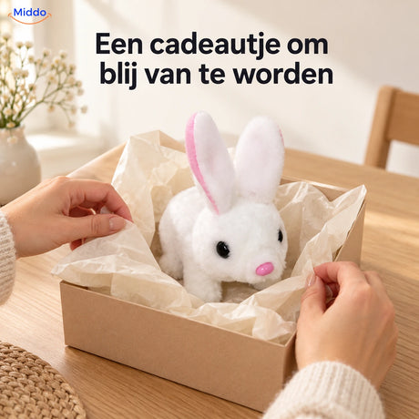 BunnyBuddy Wit pluche konijntje als cadeau ingepakt