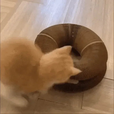 Rode kat die met zijn poot in de ronde kartonnen kattenkrabbaan graait, op een lichte houten vloer
