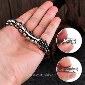 Hand houdt een zilveren drakenarmband vast, detailopname van de drakenkop en schakels