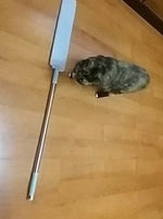 EasyClean uitschuifbare stofdoek met huisdier op houten vloer