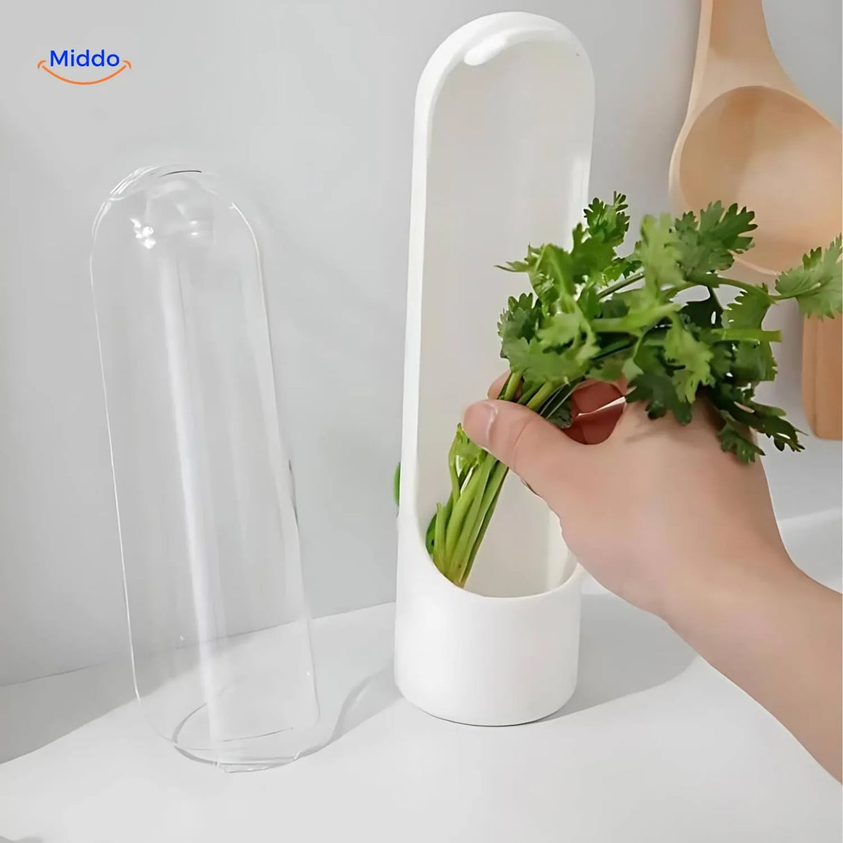 Freshherbkeeper™ Kruidenopslag Voor Koriander