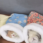 furhaven knusse kattenbed geel beer patroon kat test middo.nl