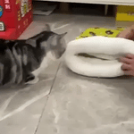 furhaven knusse kattenbed geel beer patroon kat test middo.nl