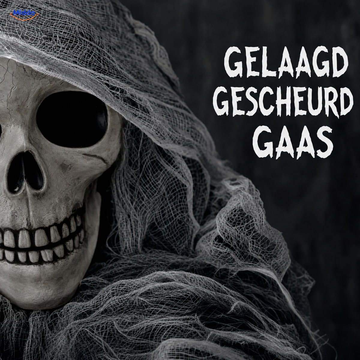 HauntCraft hangend Halloween-spook: close-up van schedel en gescheurd gaas.