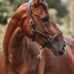 paarden adventskalender paard portret met halster www.middo.nl