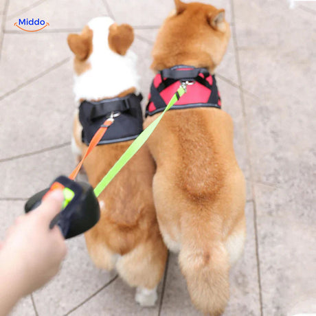 twee honden zij aan zij wandelen met intrekbare lijn