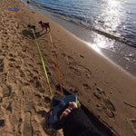 wandelen met honden op het strand met intrekbare lijn