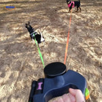 wandelen met twee honden op zand met intrekbare lijn