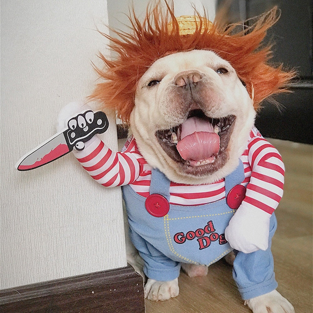 Pet Chucky™ | Het engste dierenkostuum dat hoofden en staarten doet omdraaien